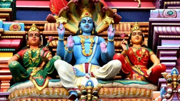 Vishnu Idol Unearthed, Vishnu Idol Hale Belur, Vishnu Idol Hassan, Vishnu Idol Karnataka- India TV Hindi