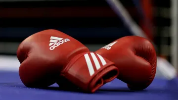 Boxing Gloves- India TV Hindi