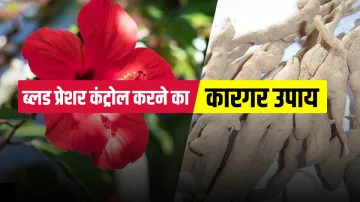 how to control high or low blood pressure naturally at home immediately - India TV Hindi