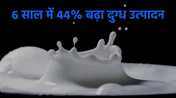 <p>दूध-दूध-दूध वंडरफुल...- India TV Paisa