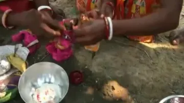 frog marriage- India TV Hindi