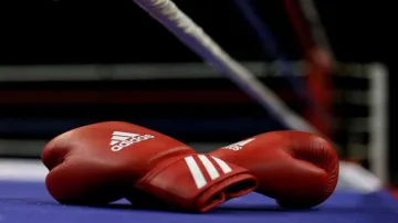 Boxing Gloves- India TV Hindi