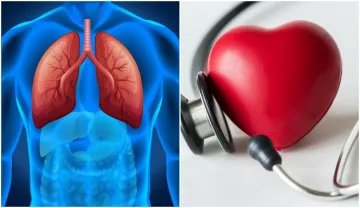 home remedies for healthy lungs and heart - India TV Hindi