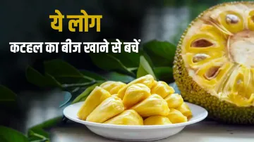 <p>jackfruit</p>- India TV Hindi