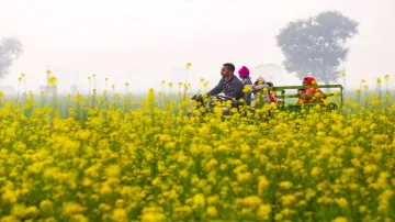 <p>अयोग्य किसानों को...- India TV Paisa