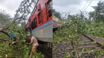 tauktae cyclone tree falls on train at Majorda Madgaon several trains cancelled दिखाई दे रहा तूफान '- India TV Hindi