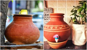 vastu tips pot filled with water direction latest news- India TV Hindi