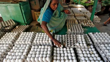 eggs Demand bounces back amid 2nd COVID 19 wave- India TV Paisa