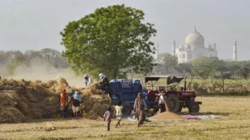 <p>कोविड के बावजूद कृषि...- India TV Paisa
