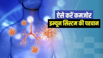 immune system- India TV Hindi