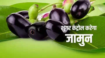  jamun or blackberry- India TV Hindi