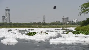 pollution in yamuna sops that do not fullfill BIS norms banned in delhi यमुना में प्रदूषण: नए BIS मा- India TV Hindi