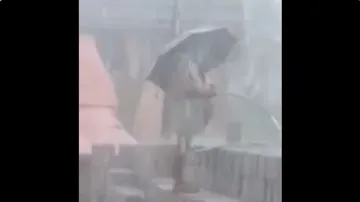 man watering brick- India TV Hindi