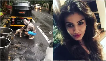 raveena tandon helps puppy during heavy rain in mumbai watch - India TV Hindi
