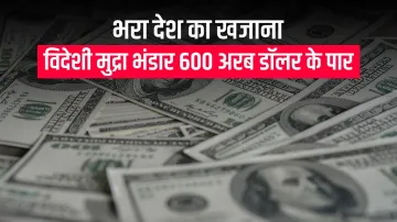 <p>विदेशी मुद्रा भंडार...- India TV Paisa