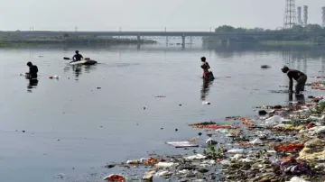 यमुना के 80 प्रतिशत प्रदूषण के लिए दिल्ली जिम्मेदार- केंद्रीय मंत्री- India TV Hindi
