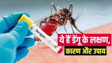 Know all about Dengue - India TV Hindi