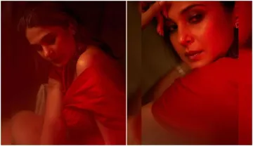 jennifer winget red bold latetst instagram post wrote I am both the calm and the storm- India TV Hindi