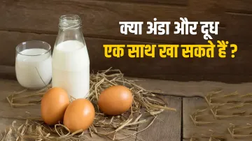 Combination of egg and milk is good for health- India TV Hindi