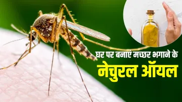 5 Home Made mosquito repellent sprays - India TV Hindi
