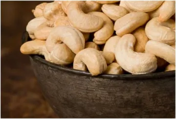 <p> side effects of Cashew</p>- India TV Hindi