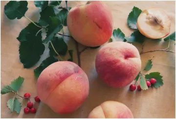 Summer fruit Peach- India TV Hindi