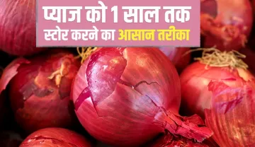 Kitchen Hacks easy ways to store onions at home onion ko store karne ka tarika- India TV Hindi