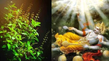 Guru Purnima 2021: गुरु पूर्णिमा के दिन भगवान विष्णु को ऐसे चढ़ाएं तुलसी की पत्ती, कारोबार में होगी - India TV Hindi