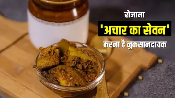 pickle - India TV Hindi