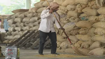 Centre buys record 874 lakh tonnes of paddy so far at MSP for Rs 1.65 lakh cr- India TV Paisa