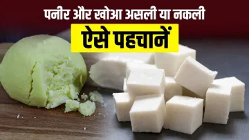 how to check purity of paneer and mawa- India TV Hindi