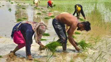 <p>परेशान किसानों के...- India TV Paisa