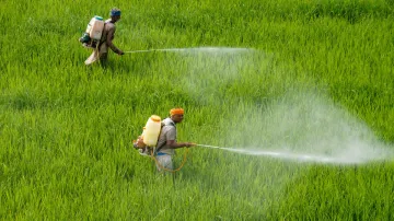 <p>किसानों के फायदे के...- India TV Paisa