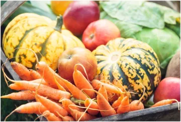 fruits and vegetables- India TV Hindi