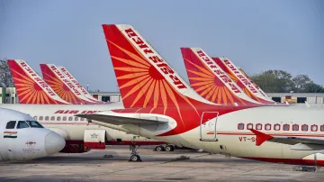 Air India flight ants in business class delays plane बिजनेस क्लास में चीटियां मिलने से एयर इंडिया की- India TV Hindi