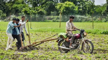 <p>किसानों को तोहफा,...- India TV Paisa