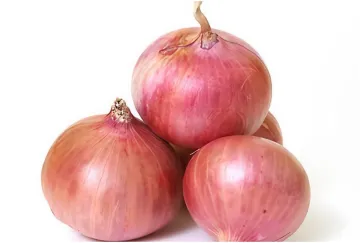Onion - India TV Hindi