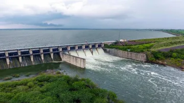 boy dies after falling in dam while taking selfie with girlfriend मध्य प्रदेश: 'गर्लफ्रेंड' के साथ स- India TV Hindi