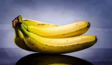 <p>Banana for uric acid </p>- India TV Hindi