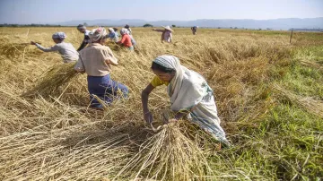 farmers- India TV Hindi