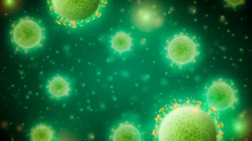 norovirus - India TV Hindi