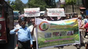 Sri Lanka partially lifts ban on chemical fertilisers; allows private sector to import it- India TV Paisa