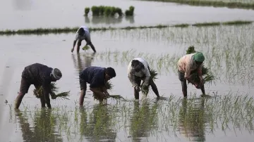 <p>राष्ट्रीय किसान दिवस...- India TV Hindi