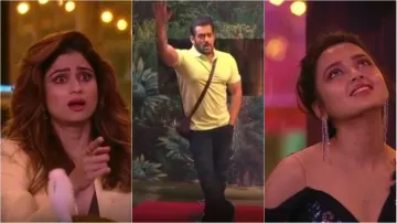 bigg boss 15 - India TV Hindi