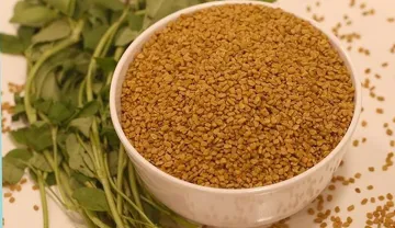 <p> methi is harmful for health diabetes patients</p>- India TV Hindi