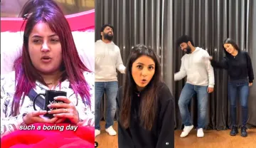  Yashraj Mukhate Just Collaborated With Shehnaaz Gill to Make Our Boring Day Better Video viral in s- India TV Hindi