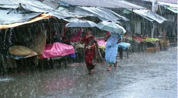 <p>monsoon</p>- India TV Paisa