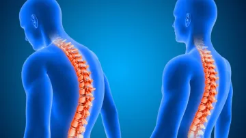 spinal cord- India TV Hindi