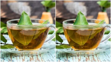 bay leaf tea- India TV Hindi