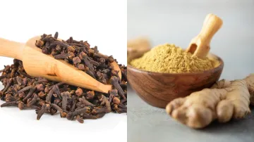 Dry Ginger and Clove- India TV Hindi